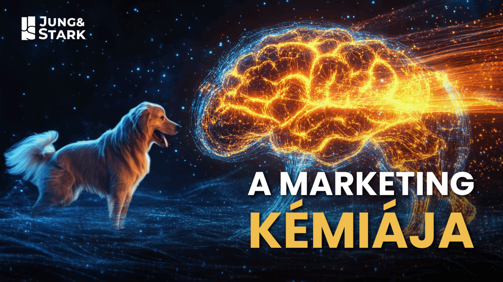 Miért szereted a kutyás posztokat? – A feelgood marketing neurobiológiája